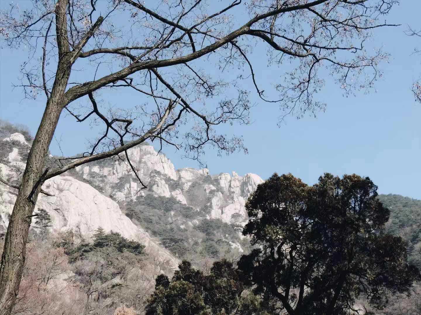 聽箏 配图