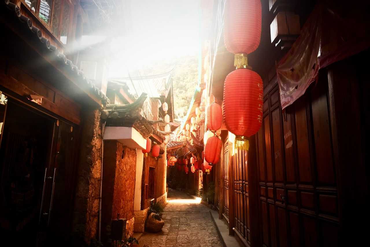 玄都觀桃花 配图