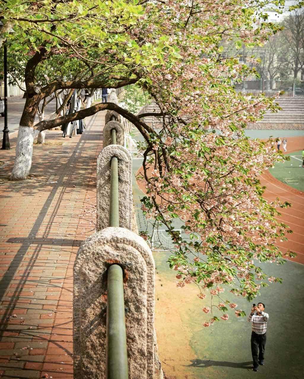 更漏子 其六 配图