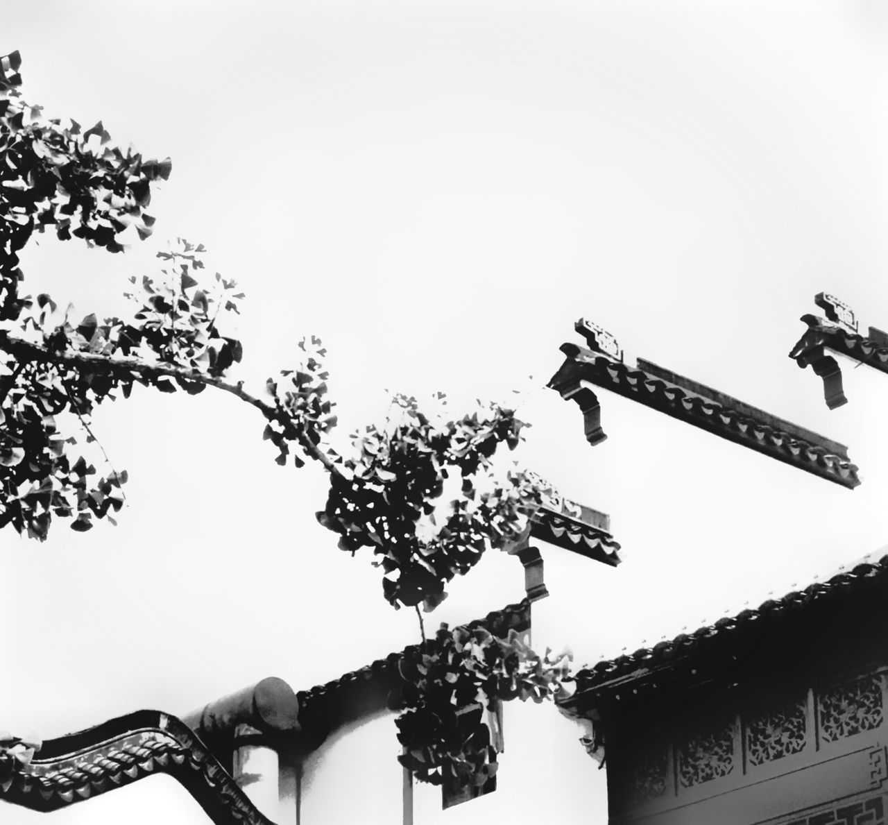山中与裴秀才迪书 配图
