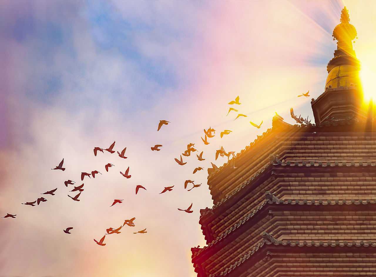 诉衷情·烛尽香残帘半卷 配图