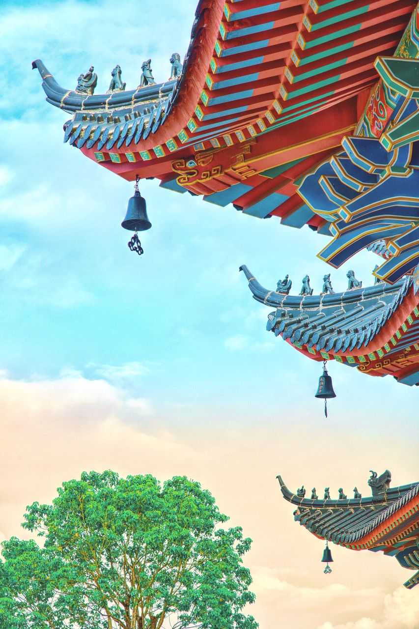 八月十五夜赠张功曹 配图